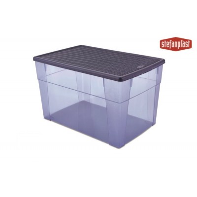 Scatola Contenitore trasparente Elegance Box multiuso XXL HIGH