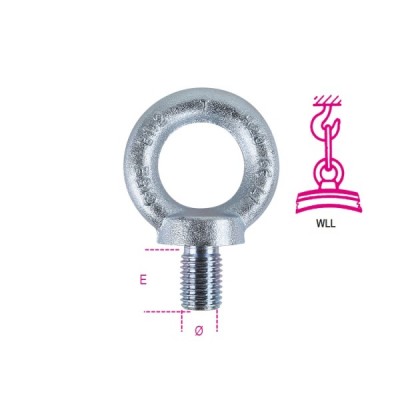 Robur Eyebolts pentru ridicare masculină DIN580 C15E galvanizat