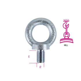 Robur Golfari per sollevamento maschio DIN580 C15E zincati Z M8