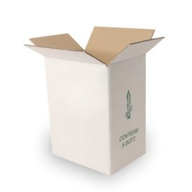 CARTON PENTRU BORDEAUX CU 6 LOCURI CU HIVE CC. 750 CARTON PENTRU BORDEAUX CU 6 LOCURI CU HIVE CC. 750
