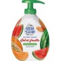 FRESH & CLEAN SAPONE LIQUIDO MANI GEL FRUTTA MELOGRANO E LIME