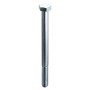 BOLT STEEL 1/2 FILETAT T.E. UNI-5737 12x100