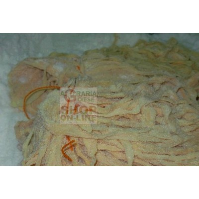 CULARI DI MAIALI 1 MZ. PER KG. 12