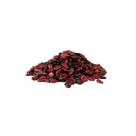 OTRAVA TOPICĂ DE ȘOBOLAN SE TRANSFORMĂSOLE ROGAR X FORTE KG. 10 OTRAVA TOPICĂ DE ȘOBOLAN SE TRANSFORMĂSOLE ROGAR X FORTE KG. 10