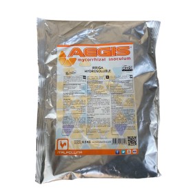 ITALPOLLINA AEGIRIGA MYCORRHIZAL INMUL IN FORMULAZPULBERE