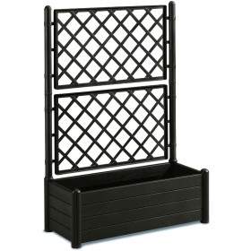 PLANTATOR CU CMDREPTUNGHIULARĂ MARO ITALIA LA GRĂTAR.