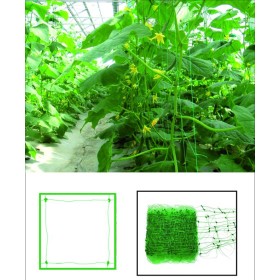 PLASĂ DE PLASTIC P / RAMPICANTI ROLL 10 M H.CM. 150