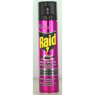 RAID INSETTICIDA SPRAY MULTINSETTO 300 ML