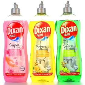 DIXAN FELURI DE MÂNCARE SECRETE 650 ML.