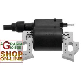 BOBINA ELETTRONICA DI RICAMBIO PER SPAZZANEVE VIGOR SNOWY 65 BOBINA ELETTRONICA DI RICAMBIO PER SPAZZANEVE VIGOR SNOWY 65