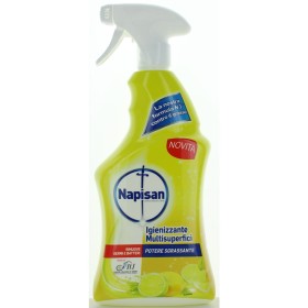 NAPISAN IGIENIZZANTE MULTISUPERFICI POTERE SGRASSANTE LIMONE