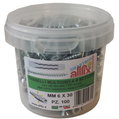 ALLFIX 100 TASSELLI CON VITI F4 MM. 6