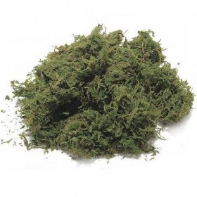 MUSCHIO ARTIFICIALE PER PREPESEPE MUSCHIO ARTIFICIALE PER PREPESEPE