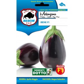 BISON SEMI DI MELANZANA IRENE F1