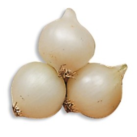 BULBI DE CEAPĂ ALBĂ SILVERMOON GR. 500