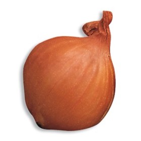 BULBII DE CEAPA EȘALOT ROȘU SOARE 7/15 GR. 500