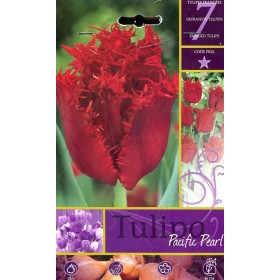 BULBI DI FIORE TULIPA PACIFIC PEARL N. 7