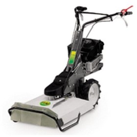 ALPINA FALCIATRICE BRIGGS STRATTON QUANTUM HP. 5 CMMAȘINI DE TUNS IARBA . 53 ALPINA FALCIATRICE BRIGGS STRATTON QUANTUM HP. 5 CMMAȘINI DE