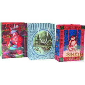 PLICURI CADOU DE CRACIUN DECORATIUNI ASORTATE CM.25X20 PLICURI CADOU DE CRACIUN DECORATIUNI ASORTATE CM.25X20