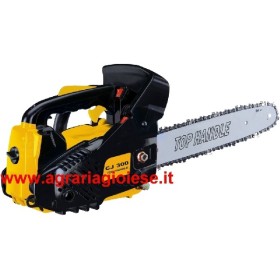 ALPINA MOTOSEGA CJ300.12 BARRA CM. 30 ALPINA MOTOSEGA CJ300.12 BARRA CM. 30