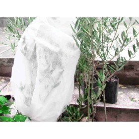 ANTIGELSAU TNT CAP nețesut tesatura CM.60x80