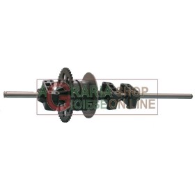 DIFERENȚIAL PENTRU RIDER ALPINA STIGA CASTELGARDEN 63 118400971/1 456014 DIFERENȚIAL PENTRU RIDER ALPINA STIGA CASTELGARDEN 63