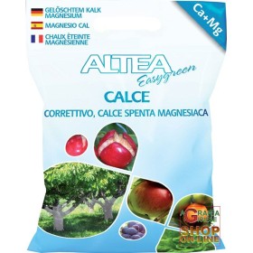 ALTEA CORRETTIVO CALCE SPENTA MAGNESIACA 4 Kg ALTEA CORRETTIVO CALCE SPENTA MAGNESIACA 4 Kg