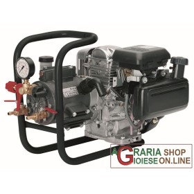 DAL DEGAN CU MOTOR PENTRU PULVERIZAREAAZION MOD. DL 325-S ATM 30