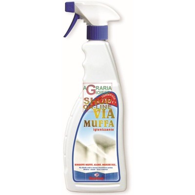 DETERGENȚI RHUTTEN SPRAY PRIN MUCEGAI ML. 750