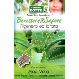DOTTO BUSTE SEMI DI ALOE VERA DOTTO BUSTE SEMI DI ALOE VERA