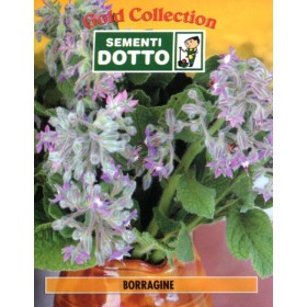 DOTTO BORRAGSACI DE SEMINȚE INE