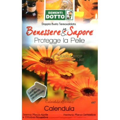 DOTTO BUSTE SEMI DI CALENDULA