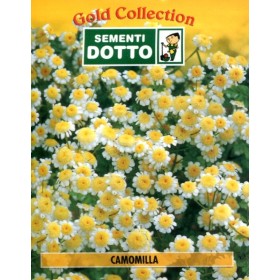 DOTTO BUSTE SEMI DI CAMOMILLA