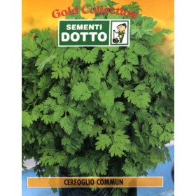 DOTTO SACI DE SEMINȚE CHERVIL COMUNE