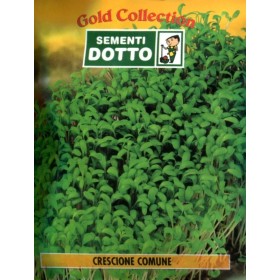 DOTTO BUSTE SEMI DI CRESCIONE COMUNE