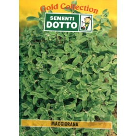 DOTTO BUSTE SEMI DI MAGGIORANA