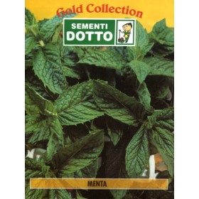 DOTTO BUSTE SEMI DI MENTA