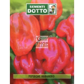 DOTTO PUNGI HABANERO CHILI SEMINTE