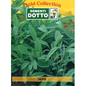 DOTTO SAGE OFFICINALE SACI DE SEMINȚE DOTTO SAGE OFFICINALE SACI DE SEMINȚE