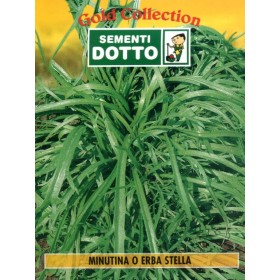 DOTTO SACI DE IARBĂ SEMI-MINUNTINE STELLA DOTTO SACI DE IARBĂ SEMI-MINUNTINE STELLA