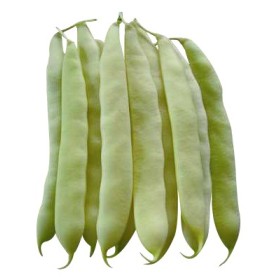 FAGIOLO GR. RAMPĂ 500. WEDAVIGLIA DIN VENEȚIA FAGIOLO GR. RAMPĂ 500. WEDAVIGLIA DIN VENEȚIA