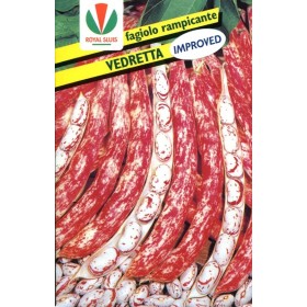 FAGIOLO KG. 1 RAMPĂ. VEDRETTA S 1 ÎMBUNĂTĂȚIT FAGIOLO KG. 1 RAMPĂ. VEDRETTA S 1 ÎMBUNĂTĂȚIT