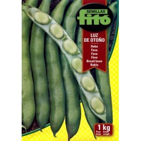FAVA KG. 1 FITO LUZ DE OTONO FAVA KG. 1 FITO LUZ DE OTONO