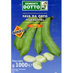 FAVA MUCHAMIEL TRE COCCI VARIETA CALABRESE GR. 500 FAVA MUCHAMIEL TRE COCCI VARIETA CALABRESE GR. 500