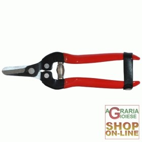 PENTRUBICSI PENTRU TUNDERE AGRUMI SFAT SCURT 16 CM.