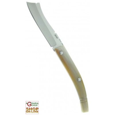 Fraraccio cuțit Mozzetta Abruzzese corn cm. 16 cod. 0395/0416