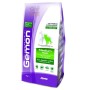 GEMON FEED PENTRU CANI MEDIU ADULT CU AGNELLO-RISO KG. 3