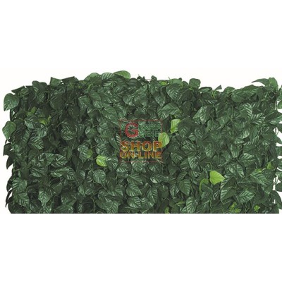 ARELLE HEDGE EVERGREEN LAURO DUBLU SCUT MT. 1.5x3