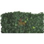 ARELLE HEDGE EVERGREEN LAURO DUBLU SCUT MT. 1X3