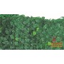 ARELLE HEDGE EVERGREEN LAUREL MT. 0.35 X 10